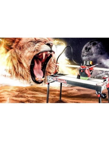 RUBI WIERTŁO DRYGRES 6MM M14 06962