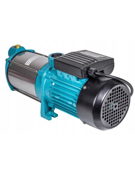 Pompa powierzchniowa Omnigena 1450 W 6000 l/h MH1300