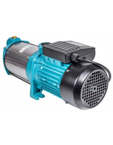 Pompa powierzchniowa Omnigena 1450 W 6000 l/h MH1300