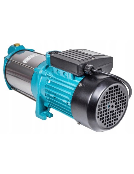 Pompa powierzchniowa Omnigena 1450 W 6000 l/h MH1300