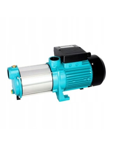 Pompa powierzchniowa Omnigena 1450 W 6000 l/h MH1300