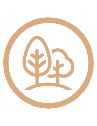 Bateria kuchenna stojąca Invena biały, srebrny BZ32L02C