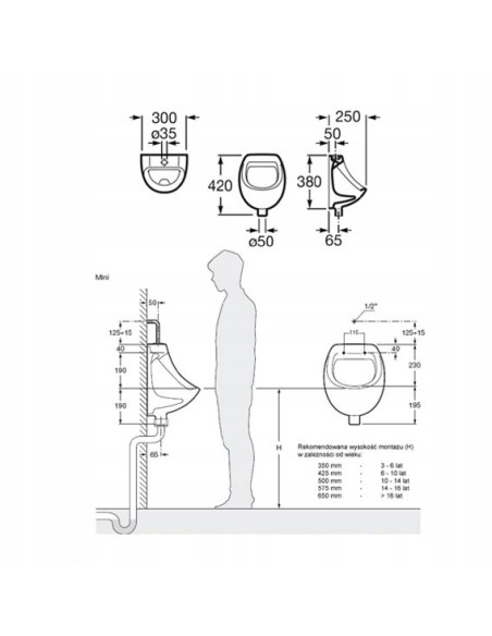 Roca Pisuar ścienny A353145000