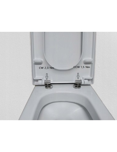 Zawiasy do deski sedesowej Roca Gap A801482NZU