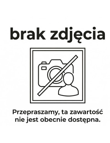 ALUZINK ŚRODEK ANTYKOROZYJNY POWŁOKA...